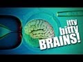 Human Brains Grown In Test Tubes