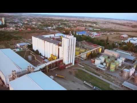 download lagu mp3 mp4 Victoria Group, download lagu Victoria Group gratis, unduh video klip Victoria Group