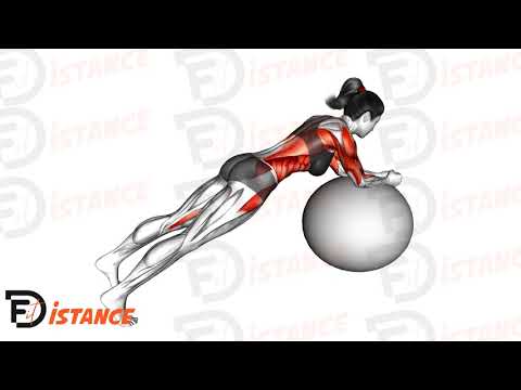 Exercice Gainage circulaire avec ballon (Swiss Ball)