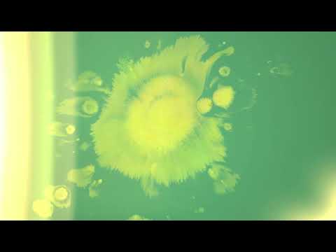 O'Flynn - 'Vesta' (Official Visualizer)