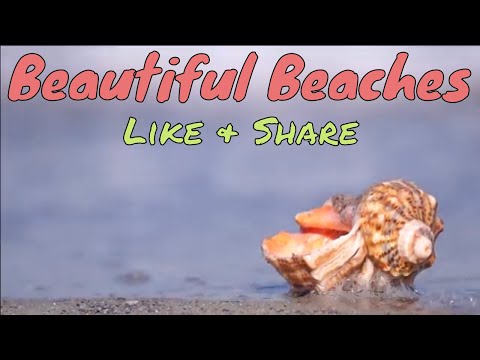 Ocean and Sea In The World,,,,,,, Best Beaches,,,,,,,