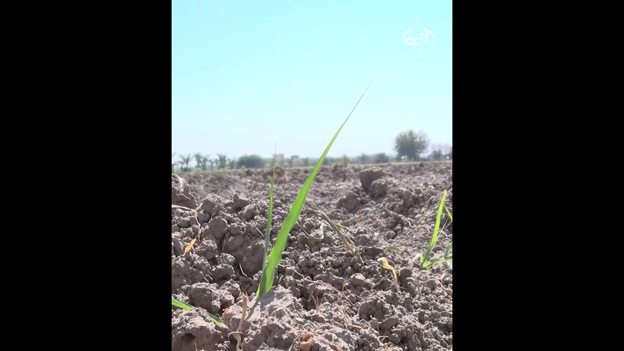 فيديو | علي الزيدي يبحث تفعيل الملفات المهملة.. فهل يستطيع الإيفاء أم ستبقى على الرف؟