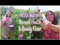 Rose Water One Of The World S Oldest Health Beauty Elixirs