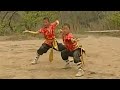 Shaolin Kung Fu: Tiger & Dragon fighting techniques
