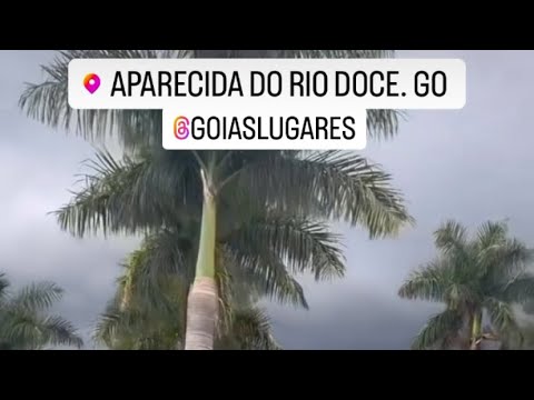APARECIDA DO RIO DOCE GOIAS