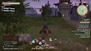 【FF14】ひっさしぶりのイン