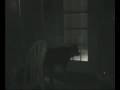 Ghost Caught by dog real must see 