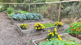 October Garden Tour | EverCrest