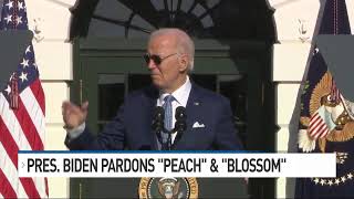 IN DEPTH: BLM official talks about damage to ancient Kane County petroglyphs