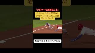 死闘すぎる！白熱すぎる！ #major #野球 #ドジャース #baseball #大谷翔平
