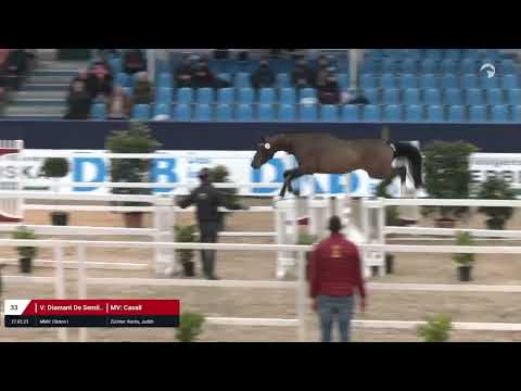 Kat. Nr. 33 Hengst v. Diamant de Semilly - Casall *27.03.2023