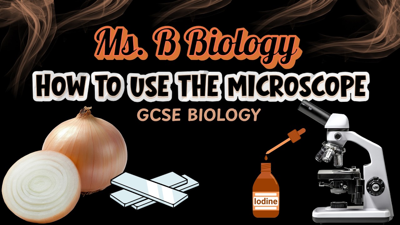How to Use a Microscope | GCSE Biology Required Practical (Full Walkthrough)