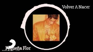 Chayanne - Pequeña Flor (Petile Fleur) [Visualizer]