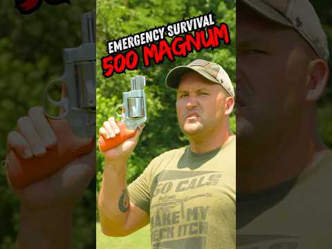 Smith \u0026 Wesson 500 Magnum Hornady Ammo