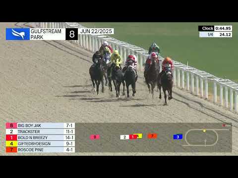 Gulfstream Park Jun 22 2025