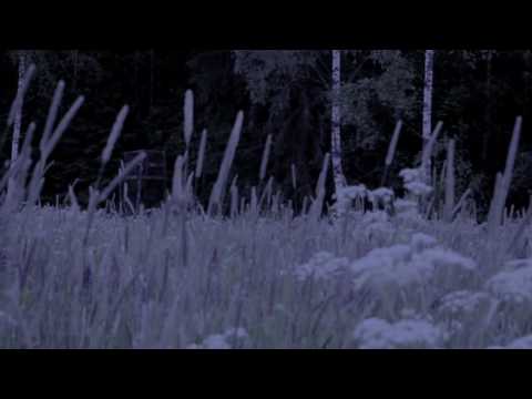 Nistikko - Tuomittuja häviämään (Music video)