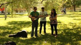 Imaginary Cities - Where'd All The Living Go | Live in Bellwoods NXNE picnic