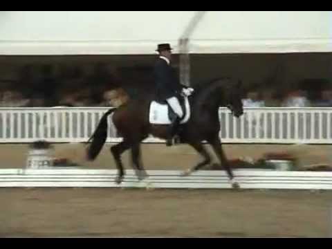 Florencio at Verden 2005-07-01