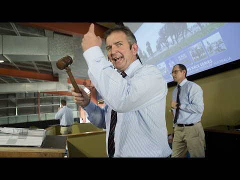 2015 Gold Coast National Broodmare Sale Day 1