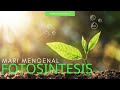 PENGERTIAN FOTOSINTESIS
