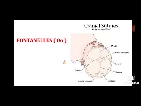 About Fontanelle ( Anetrior & Posterior )