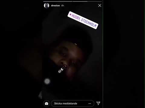 favorit Artist dree low