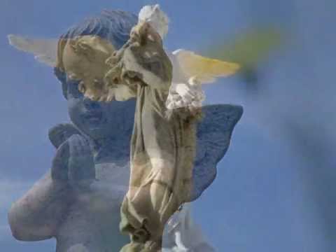 Ill Fly Away video