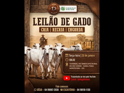 LEILAO DE GADO  20 - 01 - 2026 - Sindicato Rural de Rio Verde - Dêgo Leilões