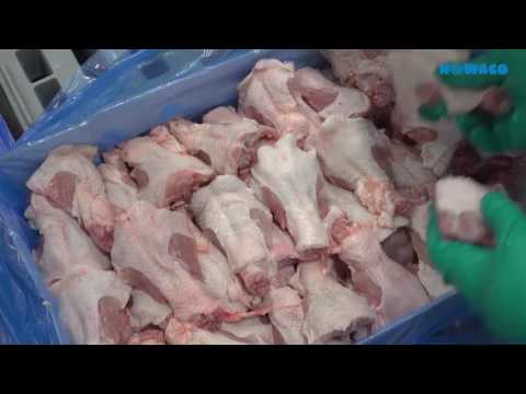 NOWACO A/S - Company Movie POULTRY