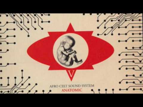 Beautiful Rain - Afro Celt Sound System