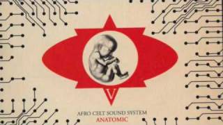 Beautiful Rain - Afro Celt Sound System