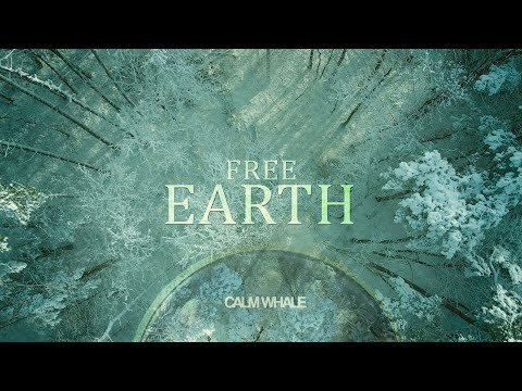 Birth of a New Earth *5D* Hang Drum & Gong Meditation | Calm Whale