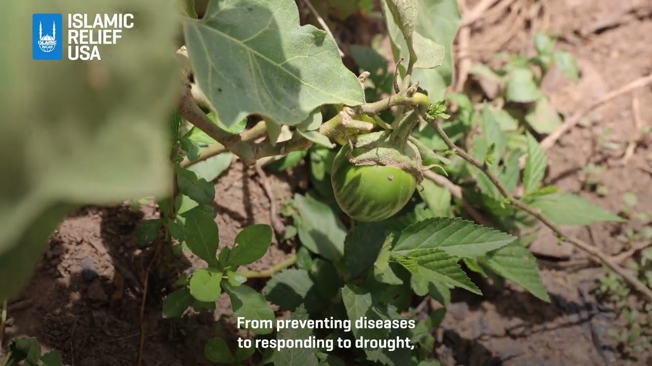 IRUSA | Providing Access to Clean Water