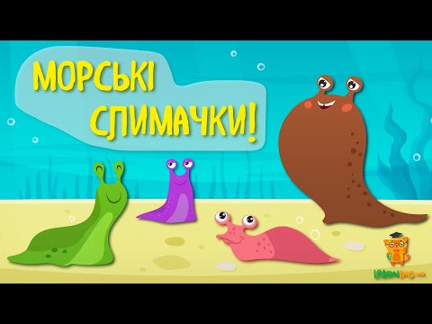 Дива природи. Явища навколо нас. Голозяброві полюски, або Морські слимаки