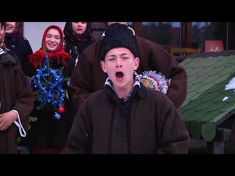 Ans. Cununa asauanilor  - Plugusorul (Adrian Ciosu)