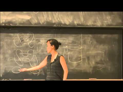 Heegaard Floer homology and the knot concordance group - Jennifer Hom