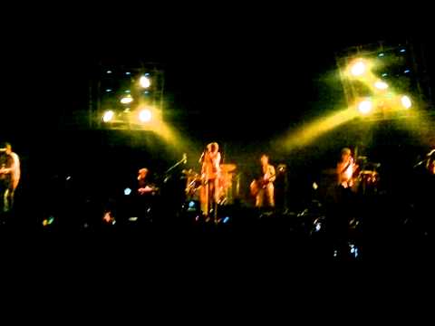 Coyote video