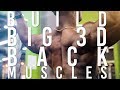 How To BUILD A 3D BACK | Sergio Gray