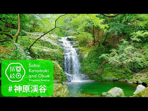 神原渓谷【渓谷散策】