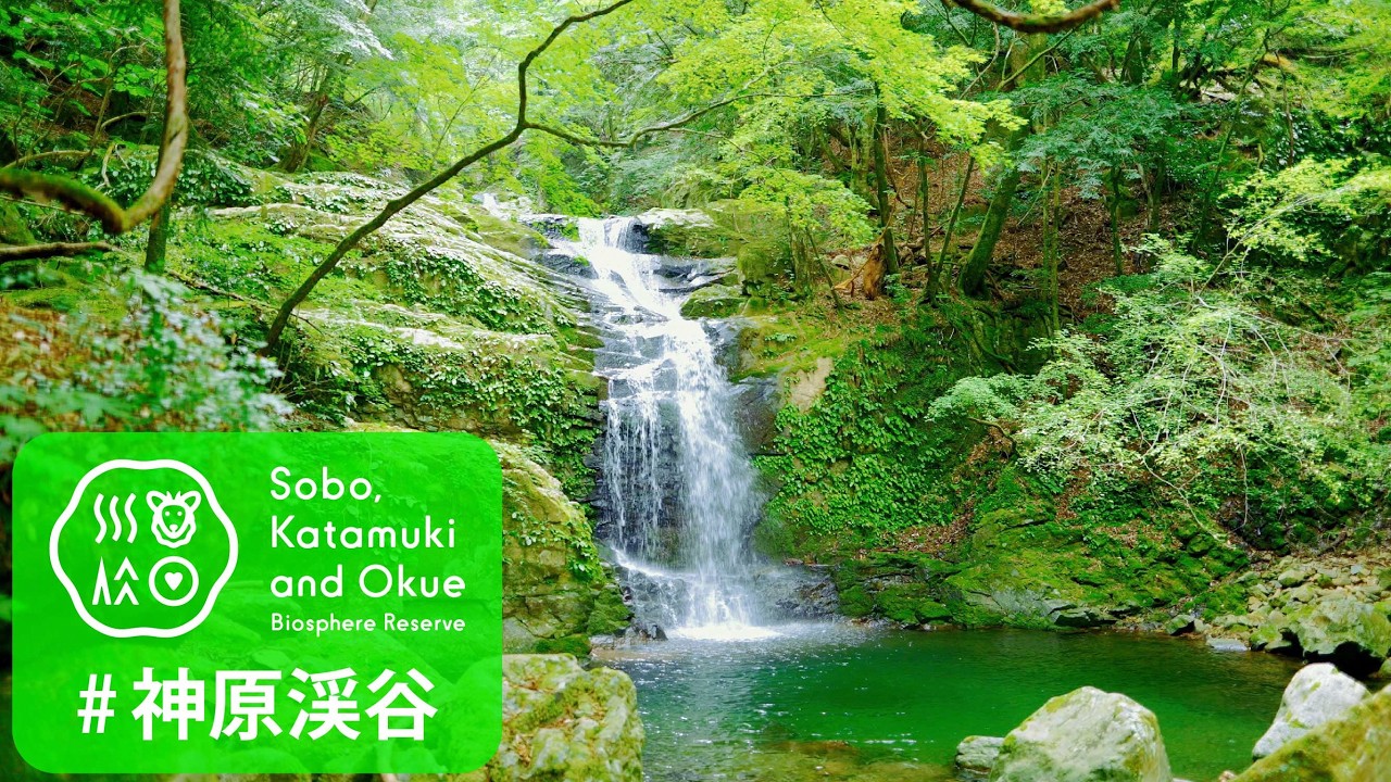 神原渓谷【渓谷散策】