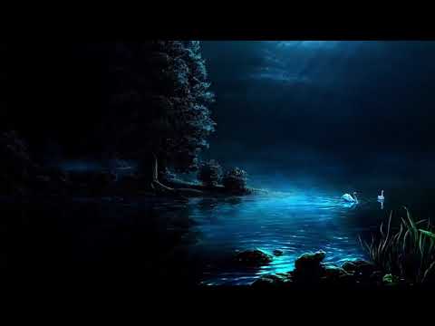 Martin Petřek - Dance of the Butterflies (Instrumental)