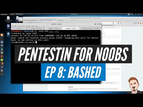 Pentesting for n00bs: Episode 8 - Bashed (hackthebox)