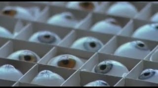 The Glass Eye Maker - Jost Haas (Documentary)