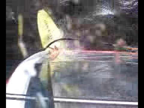 Dennis Windsurfen Großes Meer Mastcam