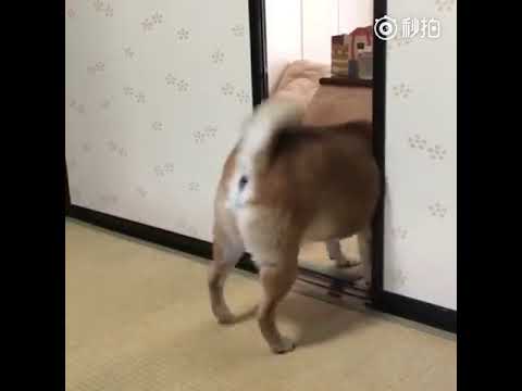 아이콘