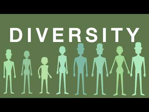 DIVERSITY - Comprehensive Sexuality Education FPOP REAP