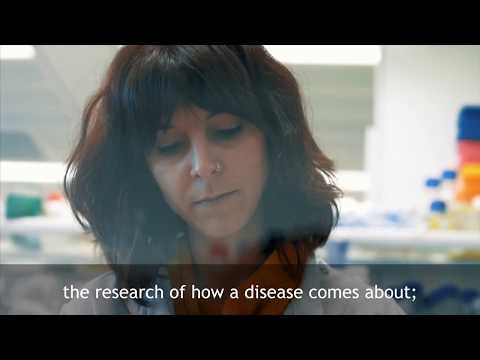 Inside the Crick: Yeast