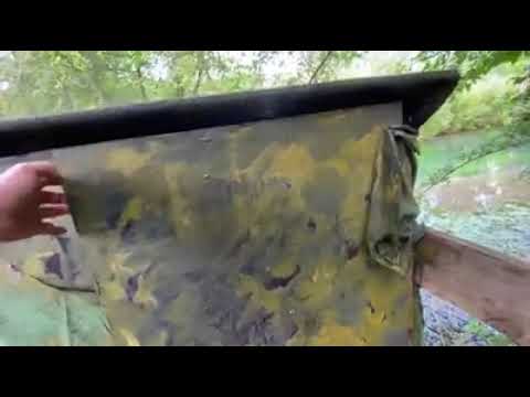 Voir la vidéo Explorez la magie de la photo animalière