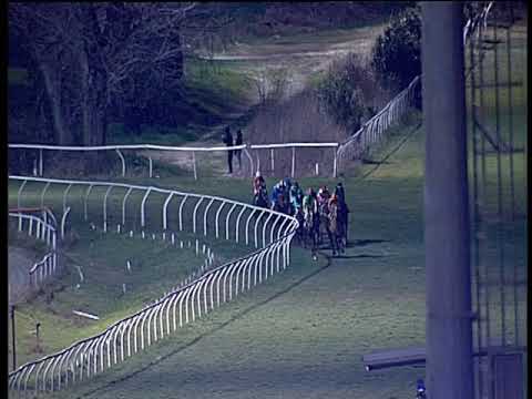 Galoppo 12/02/2019 - 5ª corsa