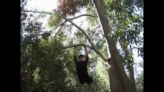 preview picture of video 'Forest Parkour  --  Back To OriginS'
